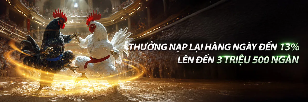 Các loại kèo cược đá gà tại KU777